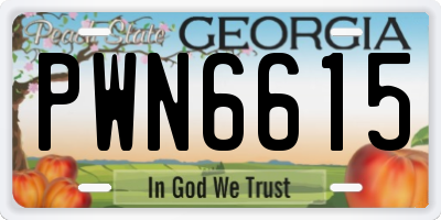 GA license plate PWN6615