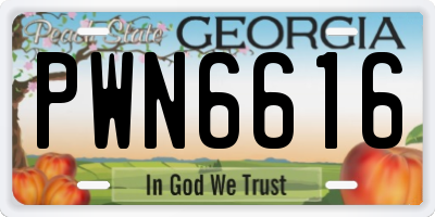 GA license plate PWN6616