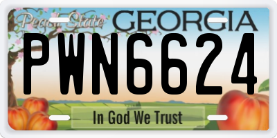 GA license plate PWN6624