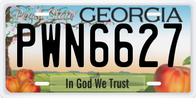 GA license plate PWN6627