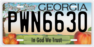 GA license plate PWN6630
