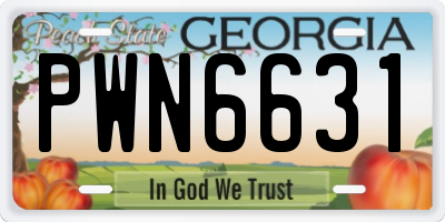 GA license plate PWN6631