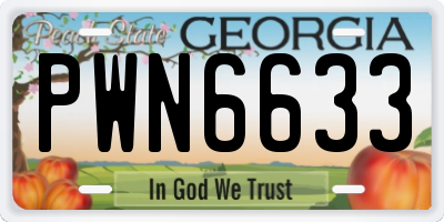 GA license plate PWN6633