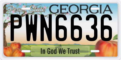 GA license plate PWN6636