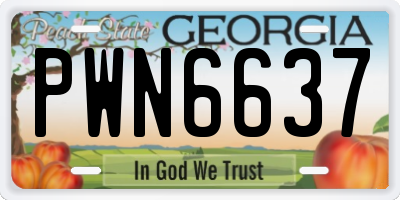 GA license plate PWN6637