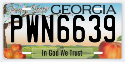 GA license plate PWN6639