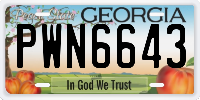 GA license plate PWN6643