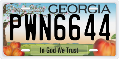 GA license plate PWN6644