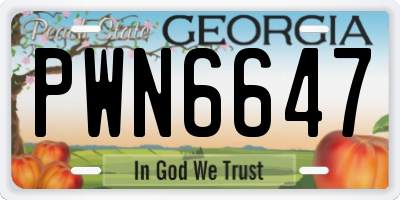 GA license plate PWN6647