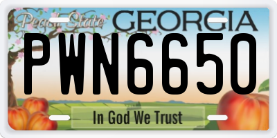 GA license plate PWN6650