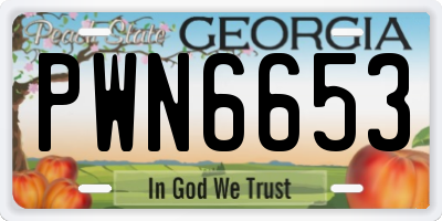 GA license plate PWN6653