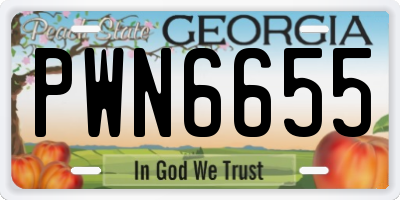 GA license plate PWN6655