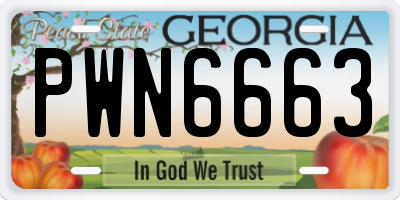 GA license plate PWN6663