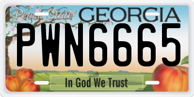 GA license plate PWN6665