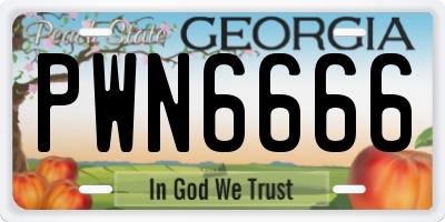 GA license plate PWN6666