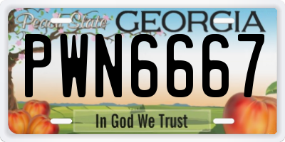 GA license plate PWN6667