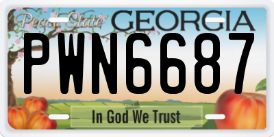 GA license plate PWN6687