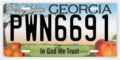GA license plate PWN6691