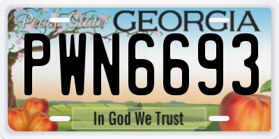 GA license plate PWN6693