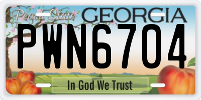 GA license plate PWN6704