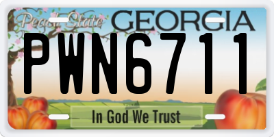 GA license plate PWN6711