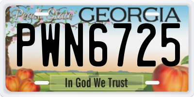 GA license plate PWN6725