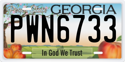 GA license plate PWN6733