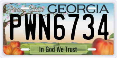 GA license plate PWN6734