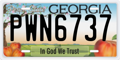 GA license plate PWN6737
