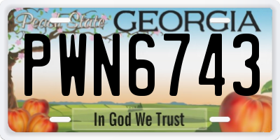 GA license plate PWN6743