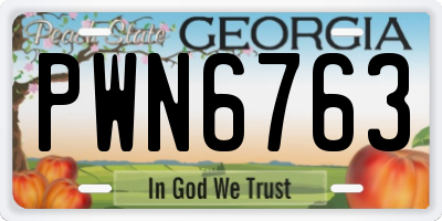 GA license plate PWN6763