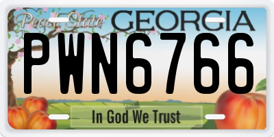 GA license plate PWN6766