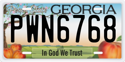 GA license plate PWN6768
