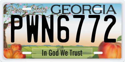 GA license plate PWN6772