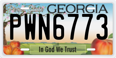 GA license plate PWN6773