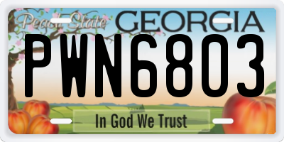 GA license plate PWN6803