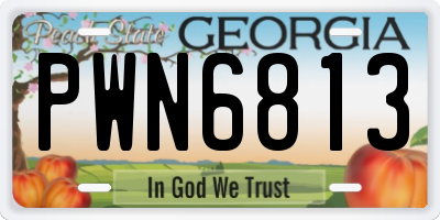 GA license plate PWN6813