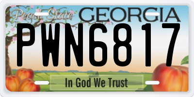 GA license plate PWN6817