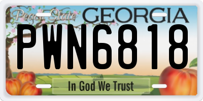 GA license plate PWN6818