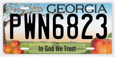 GA license plate PWN6823