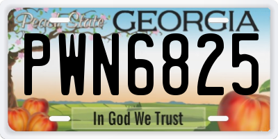 GA license plate PWN6825