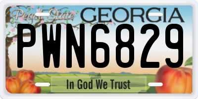 GA license plate PWN6829