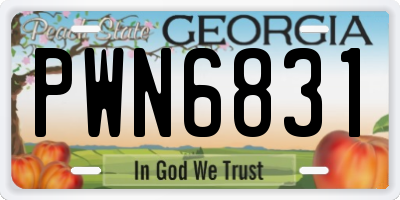 GA license plate PWN6831