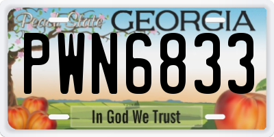 GA license plate PWN6833