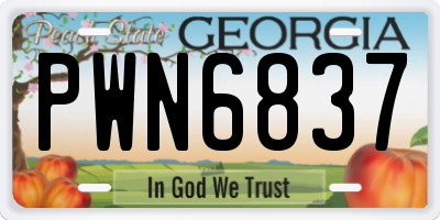 GA license plate PWN6837