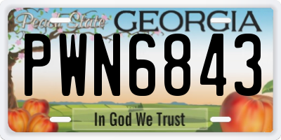 GA license plate PWN6843