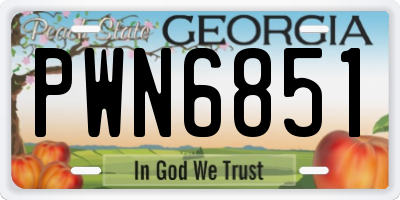 GA license plate PWN6851