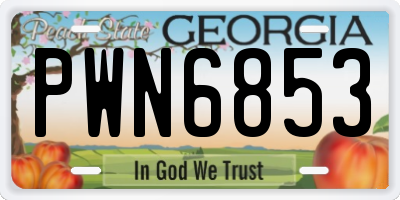 GA license plate PWN6853