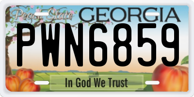 GA license plate PWN6859