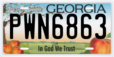 GA license plate PWN6863